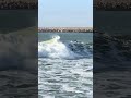 تزلج على الأمواج ركوب الأمواج أمواج مغامرات البحر رياضات مائية بحر 