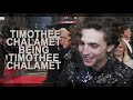 timothee chalamet being timothee chalamet