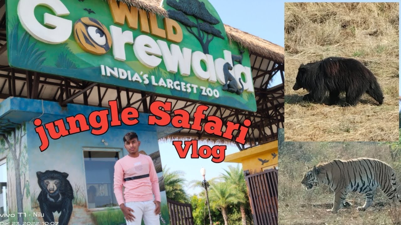 gorewada zoo jungle safari