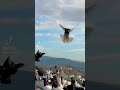  حمام حمام كش