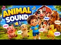 Farm Song for Kids  | Cow, Pig, Duck &amp; Sheep Animal Sounds Nursery Rhymes #cartoon 