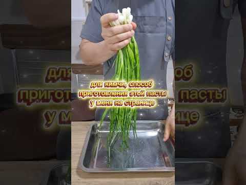Кимчи из зелёного лука #korean #рецепты #вкуснопростоибюджетно #cooking #реки #готовимподомашнему