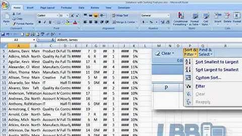 Sorting and Filtering - Excel 2007   MP4
