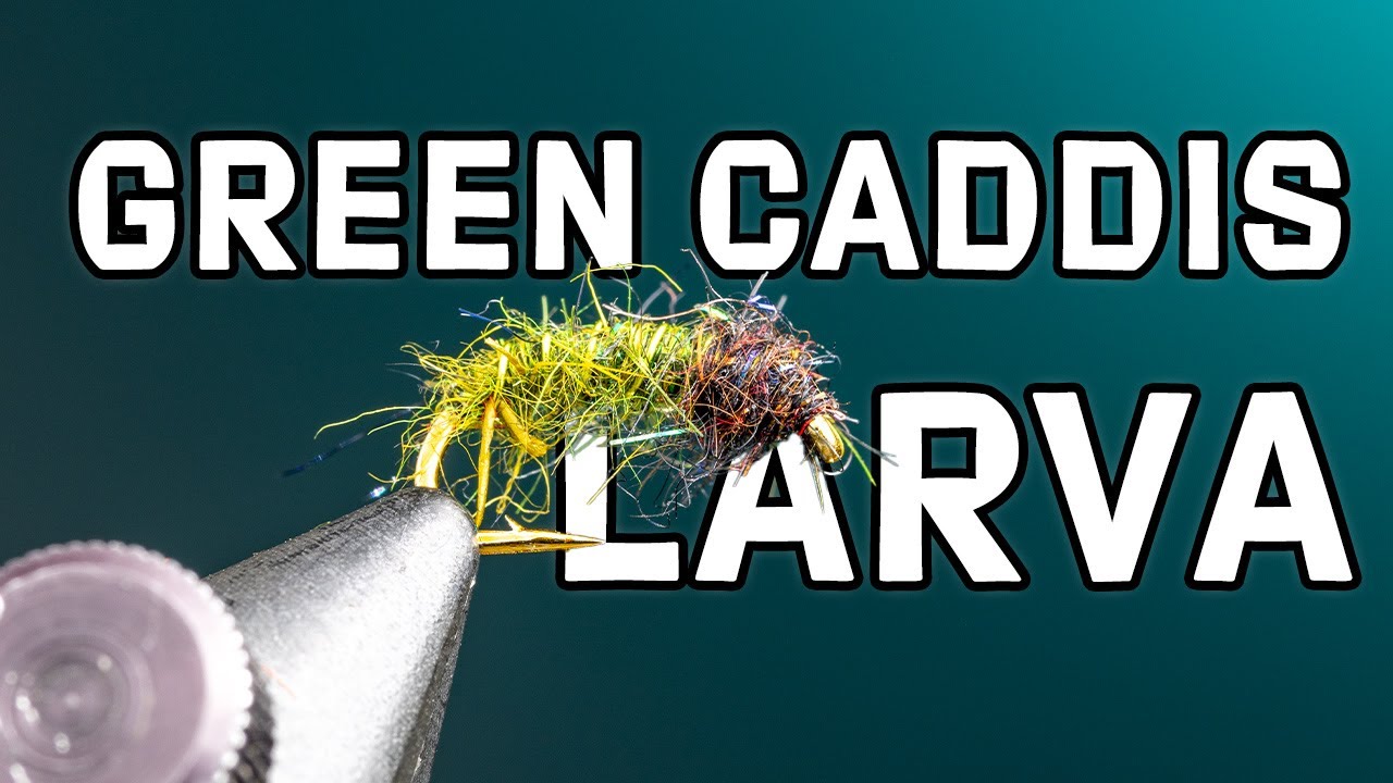 Green Caddis Larva Fly Pattern Fly Tying Tutorial YouTube