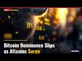 Bitcoin Dominance Slips as Altcoins Surge | Top 10 News May 23, 2026 #Shorts