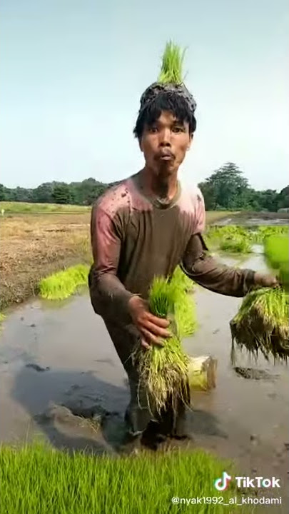 viral wikwik 😂😂😂
