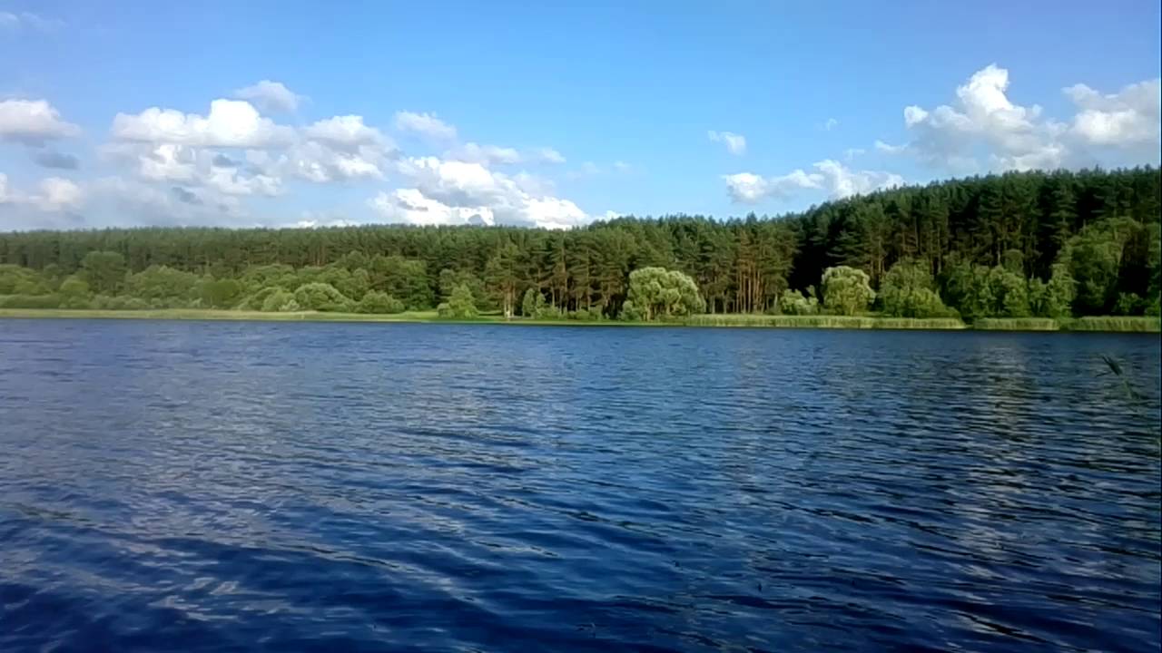 Участок озеро большое. Рутавечь озеро Смоленск. Озеро большая Рутавечь Смоленская область. Рудня озеро большая Рутавечь. Заозерье озеро Руднянский.