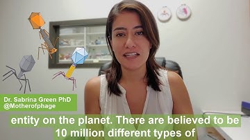 World Phage Week, why I love phage!