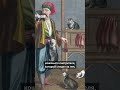 Туристический план на Стамбул: погулять, поесть, влюбиться в кота, купить ему корм и забыть маршрут