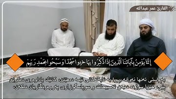 القارئ عمر عبدالله بشک ژ سورتا ( السجدة )