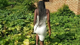 African Village girl's life ♥\/ Pumpkin 🎃 harvesting  #lifestyle #villagelife #africa #world