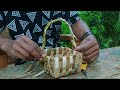  Plastic වෙනුවට කොලපොතෙන් ලස්සන මල් වට්ටියක් 😍Palm Leaf Flower Basket for a Plastic-Free Future👌