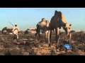 Kenya's remote 'desert museum'