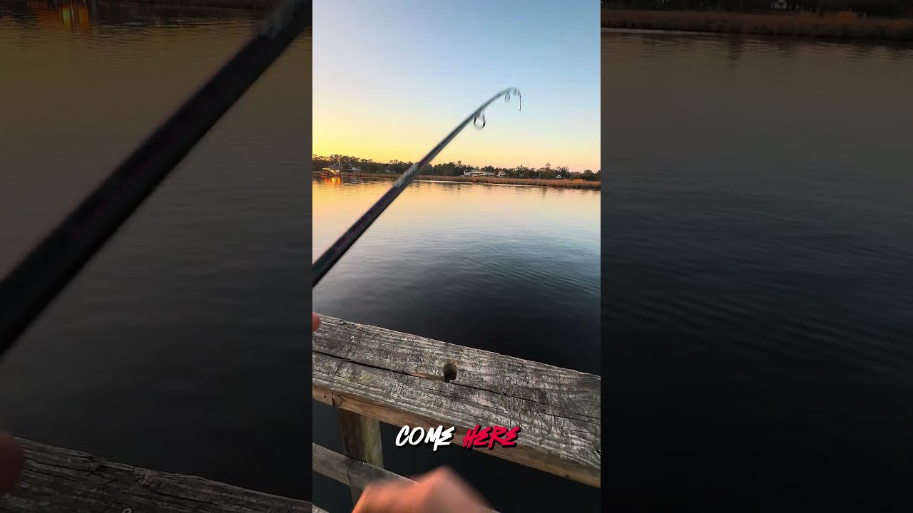 Используйте нарезанную наживку для ловли рыбы!