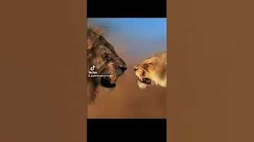 Maasai Mara Love Comedy Funny Makemefamous Dance Dj Happy Music Duet 