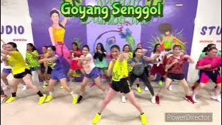 DJ GOYANG SENGGOL || SENAM KREASI || CHOREO ZIN LIU