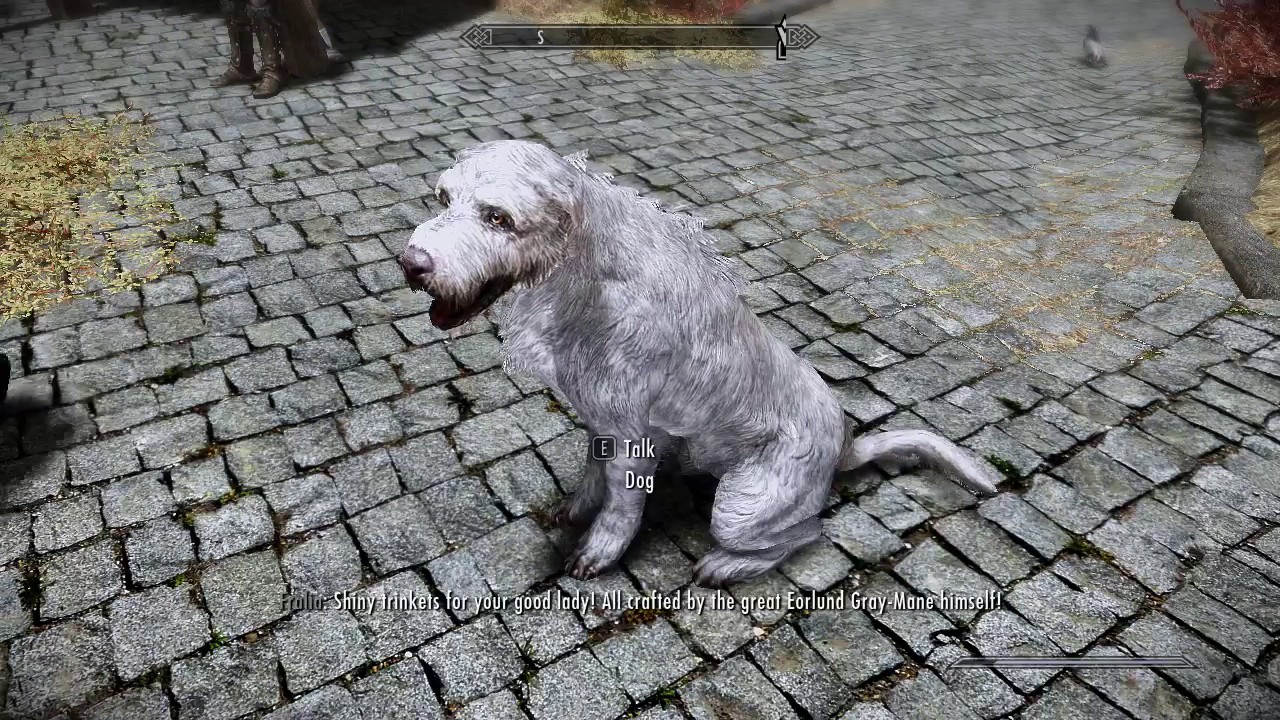 How Do I Get A Dog In Skyrim