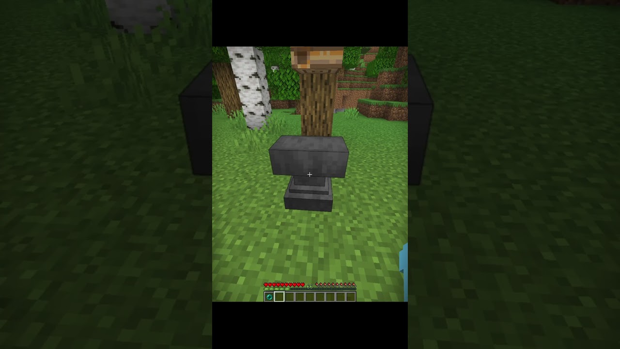 Minecraft Crazy Glitch Moment