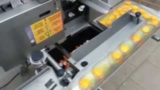 Single row egg breaker RZ—1, made in OVO-TECH Poland