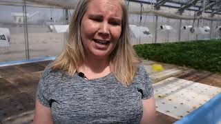 Koss Family Farms Virtual Farm Tour