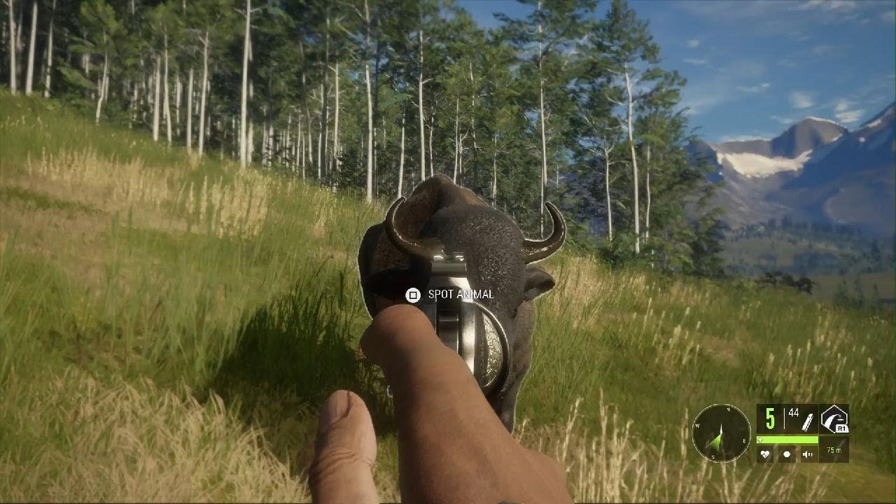 The Hunter Call of the Wild ps5 YouTube