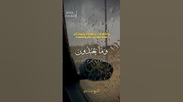 ما افقه وقفة الشيخ المنشاوى|فلما اعتزلهم وما يعبدون #المنشاوي  #سورة_مريم #القران