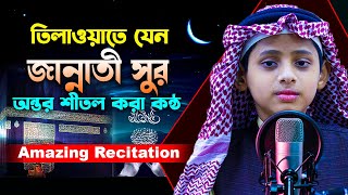 তিলাওয়াত নয় যেন জান্নাত থেকে ভেসে আসা সুর | মারকাযুল কুরআন মাদরাসা | Beautiful Quran Recitation