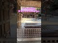一万人に一人しか見えません【伊奈波神社遠隔参拝】瀬織津姫 #運気上昇 #パワースポット #遠隔参拝 #スピリチュアル #金運上昇 #人生 #祓戸神