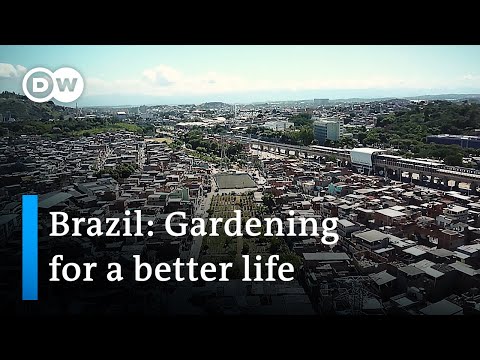 A community garden that has brought hope to the favela | Global Ideas
