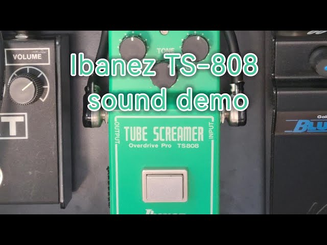 激・貴重】マレーシアチップのTS-808を弾いてみたら感動しっぱなしだっ