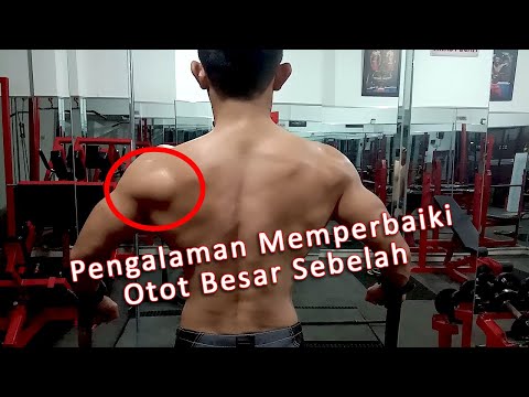 Cara Memperbaiki Otot Besar Sebelah