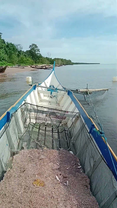 BEGINILAH PROSES PENCARIAN UDANG REBON