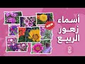 أسماء زهور الربيع من معرض الزهور The Names Of Spring Flowers From The Flower Gallery