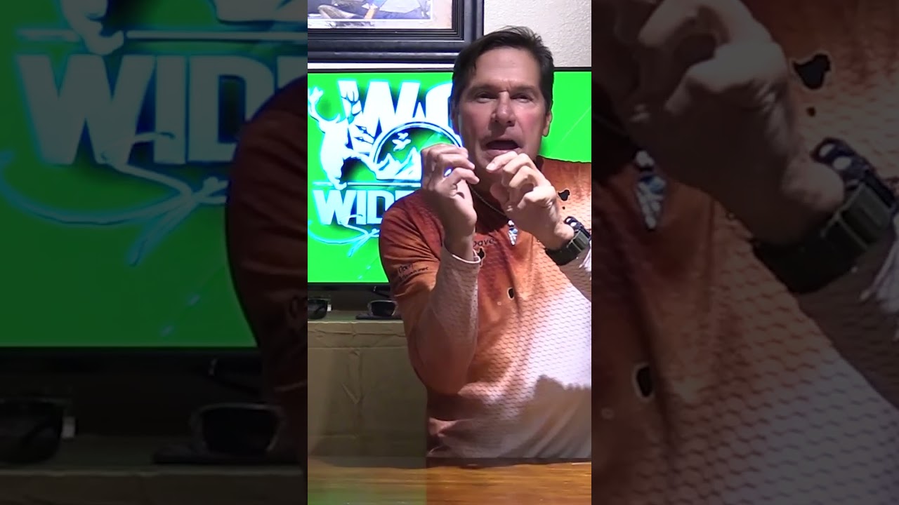 Bass Feeding Habits Exposed: Improve Your Catch