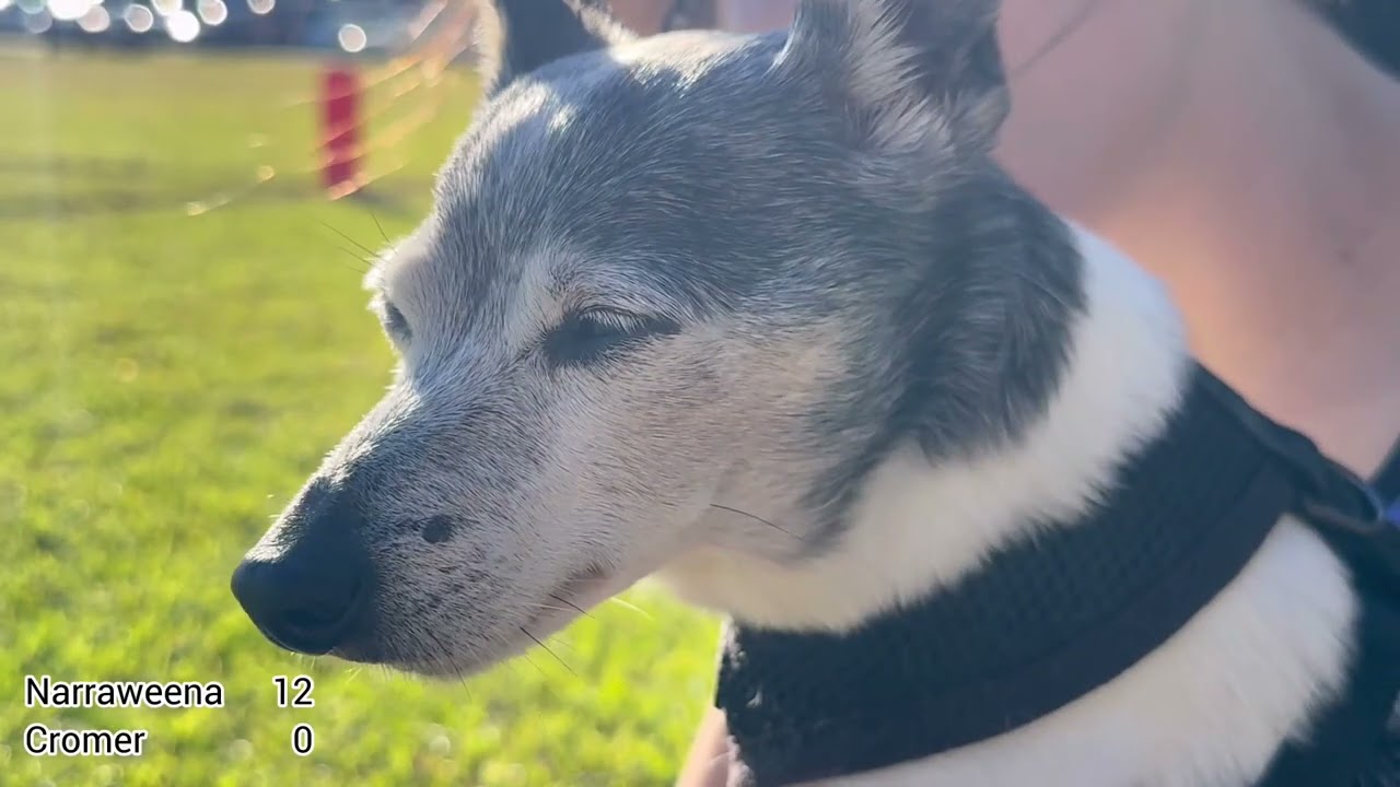 21 Jun 25 - U12 Narraweena v Cromer