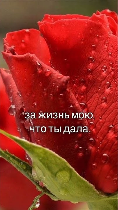 Поздравление маме. С Днём рождения - YouTube