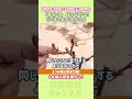 【バラの育て方】春のバラ管理のコツ♪春バラ開花に向けての管理/ #バラ #rose #shorts