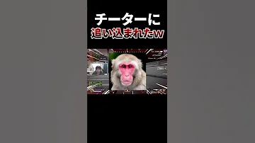 チーターに追い込まれたんだけどww Shorts ApexLegends Otake67 