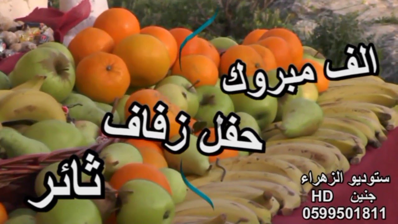 موسى حافظ 2016 - مهرجان هاشم السويطي - حفل زفاف ثائر - تصوير ستوديو الزهراء HD