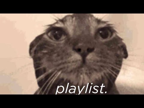 Songs to Listen while Studying Sped Up - Top Sped Up Songs for Study (Sped  Up Motivation Playlist)