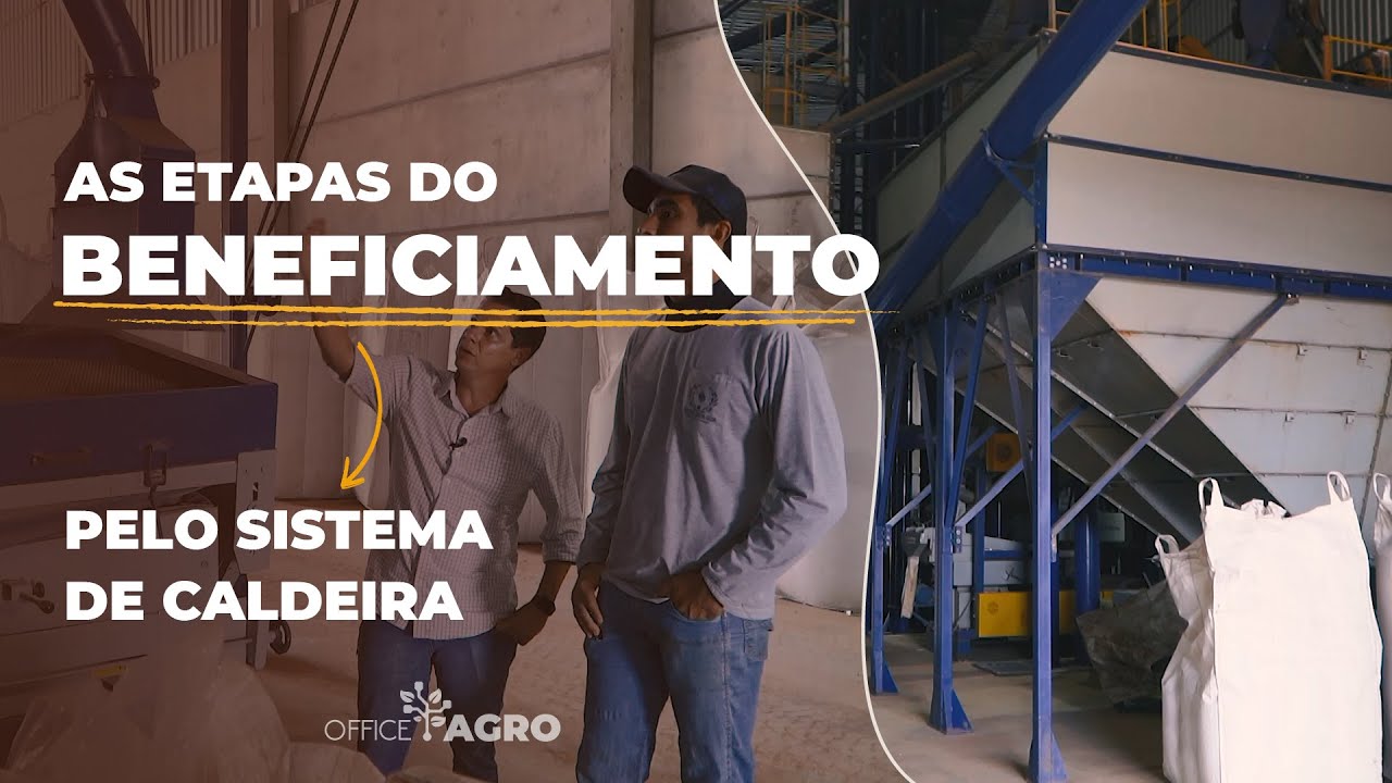 ETAPAS DO BENEFICIAMENTO DO CAFÉ PELO SISTEMA DE CALDEIRA