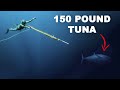 I speared a giant dogtooth tuna92 ft deep