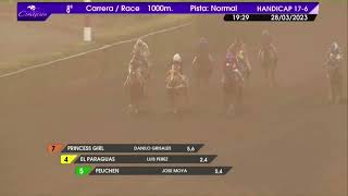 Vidéo de la course PMU PRIX QUILCO