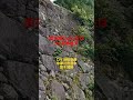 #浪花節だよ人生はby 島津亜矢#1シリーズ#岐阜県中津川市苗木苗木城跡#飯田市なんじゃもんじゃ#IidacitynaganoJapan