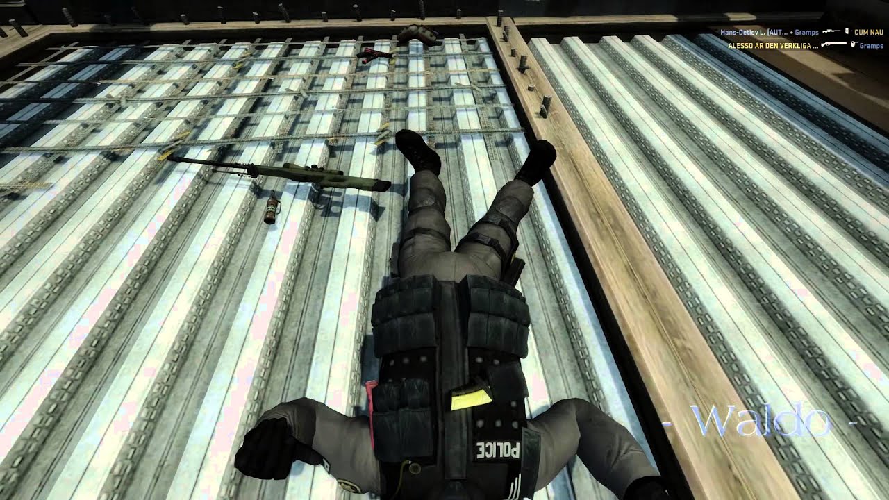 CSGO - Bot Waldo - YouTube