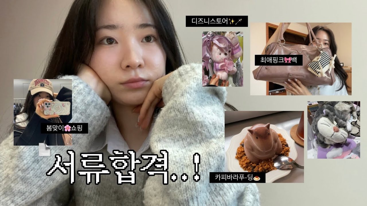 서울대 카이스트 1차 동시합격 🥺🙏 대학원 입시, 카피바라 푸딩, 연구실 인턴, 썬번프로젝트 모스백, 수부지 크림