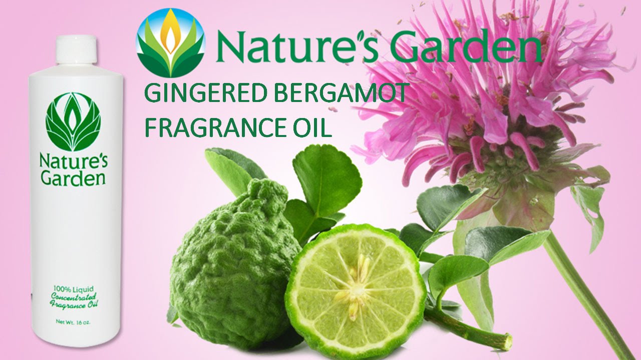 Gingered Bergamot Fragrance Oil Natures Garden YouTube