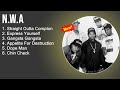 Nwa greatest hits  straight outta comptonexpress yourself gangstagangstaappetitefordestruction