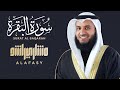 سورة البقرة لطرد الشياطين للشيخ مشاري راشد العفاسي 