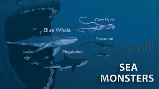 Сравнение размеров морских чудовищ | Сравнение размеров рыб | Сравнение 3d анимации
